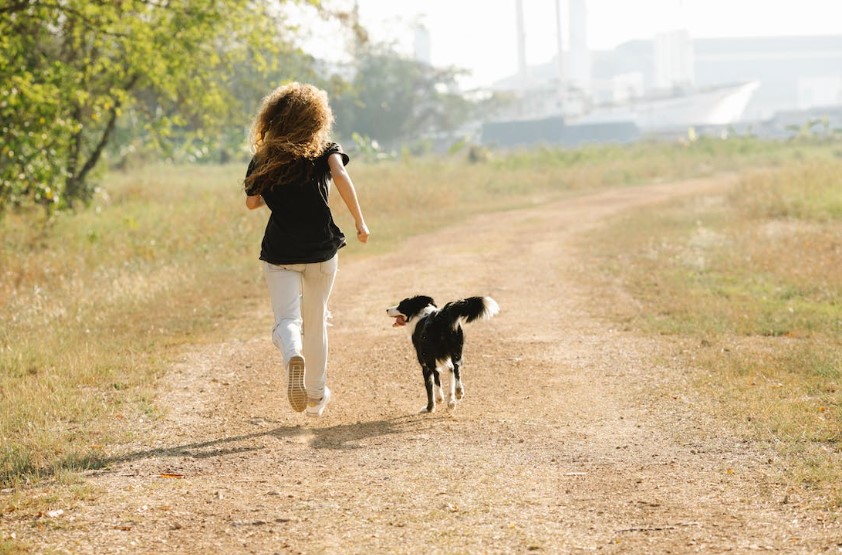 Leash Out! Uncovering the Secrets of 'Pedometer Dog-Walking'